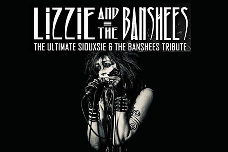 Imagen de Lizzie & The Banshees