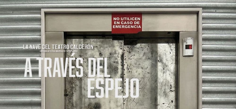 Imagen de A través del espejo