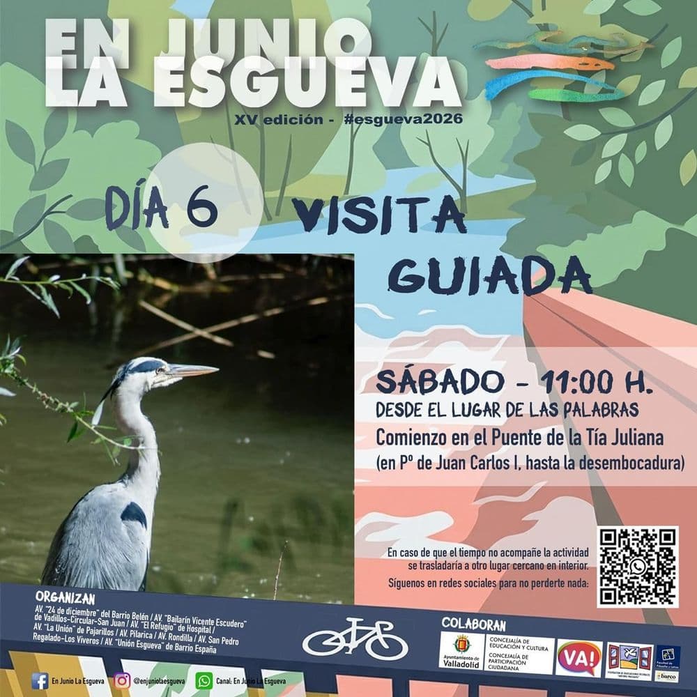 Imagen de Visita Guiada Esgueva