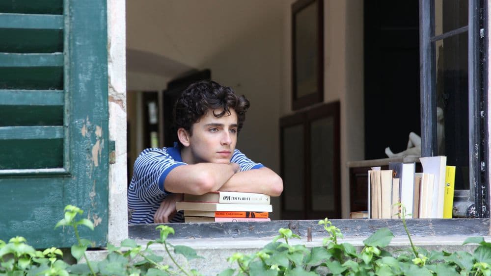 Imagen de Call Me by Your Name - Luca Guadagnino, 2017 (Italia)