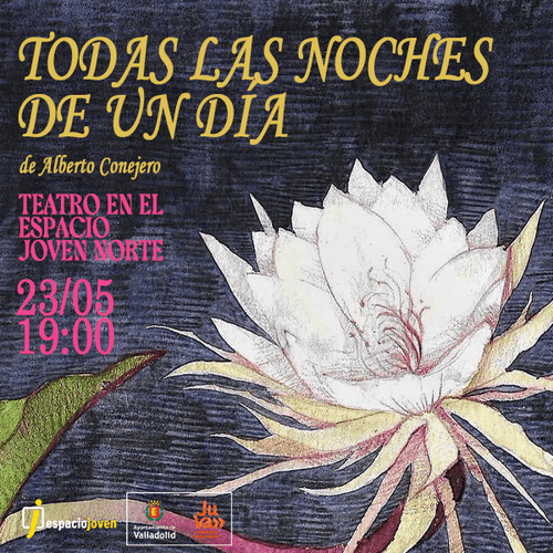 Imagen de Todas las noches de un día
