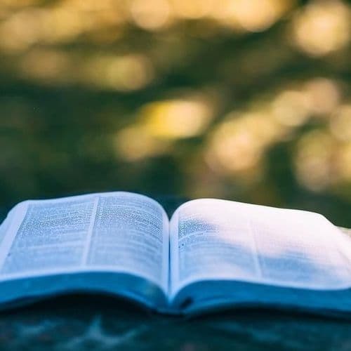 Imagen de Aula de poesía 'El poeta y sus voces'